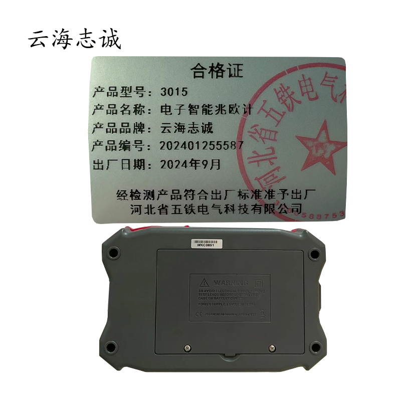 电子智能兆欧计 3015 1套
