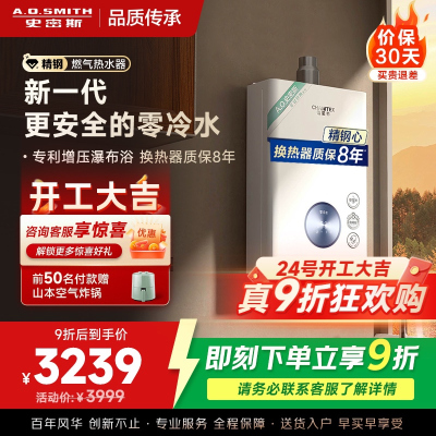 AO史密斯佳尼特燃气热水器零冷水JSQ31-TJ1