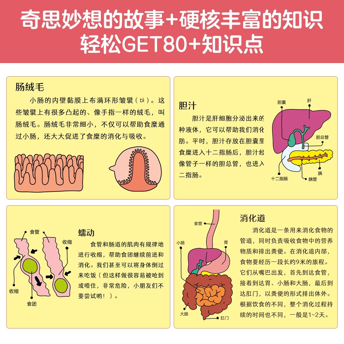 咕噜咕噜,消化开始 探索食物消化的奥秘 [正版] 咕噜咕噜,消化开始 探索食物消化的奥秘 3-6岁 科普阅高清大图