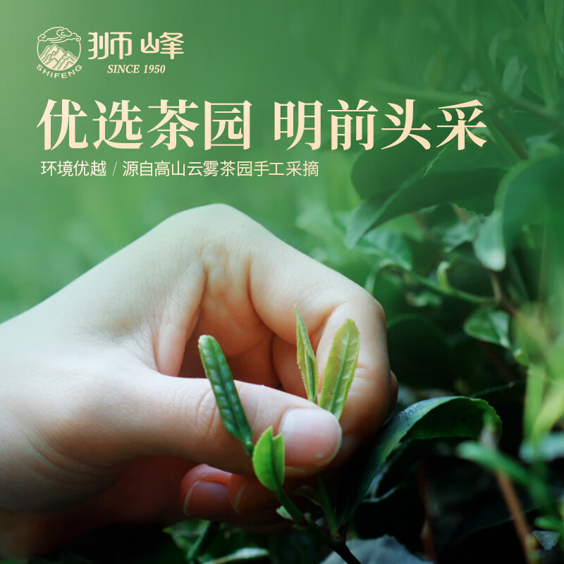 2025新茶上市狮峰牌龙井茶江南赋头鲜明前特级纸包200g头采正宗绿茶春茶高清大图