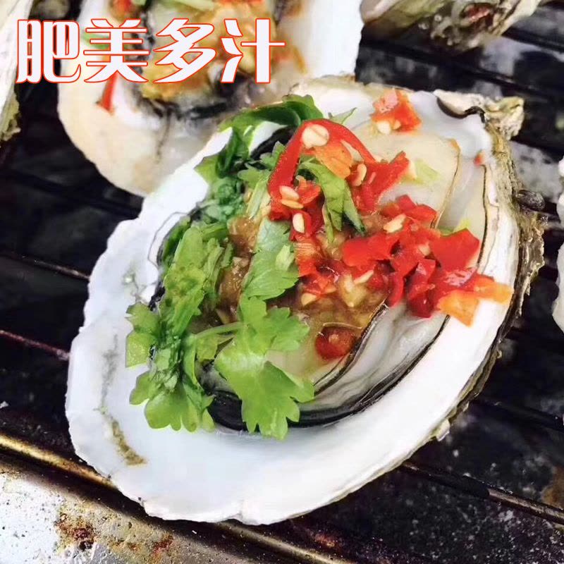 [活鲜]沈志雄船长 刺身生蚝海蛎东山岛牡蛎 冷水蚝 刺身生蚝2.5kg (约35-42个) 顺丰空运图片