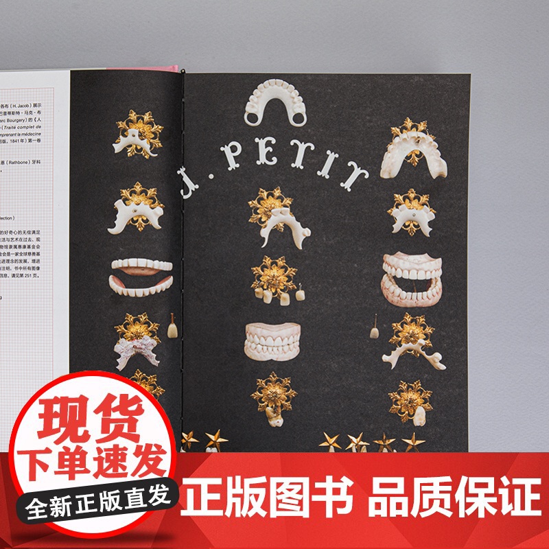微笑偷盗者 难以启齿的牙科学艺术 病玫瑰系列第四册 藏在每个人嘴里的微观文明史 病玫瑰 理想国图书店高清大图