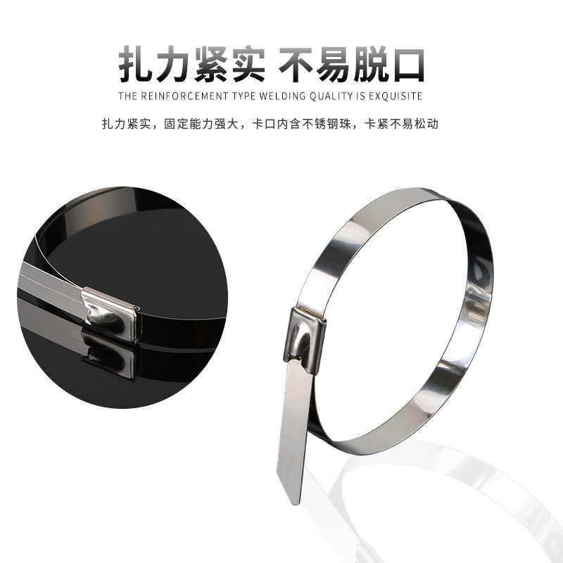 304不锈钢自锁扎带 19*600mm 根高清大图