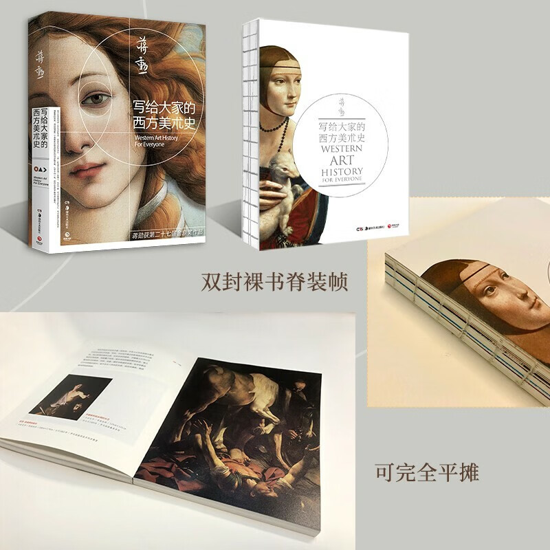 写给大家的西方美术史外国中国美术史大话西方艺术史欣赏析金鼎奖美的沉思姐妹篇谈美朱光潜蒋勋的书博集天卷高清大图