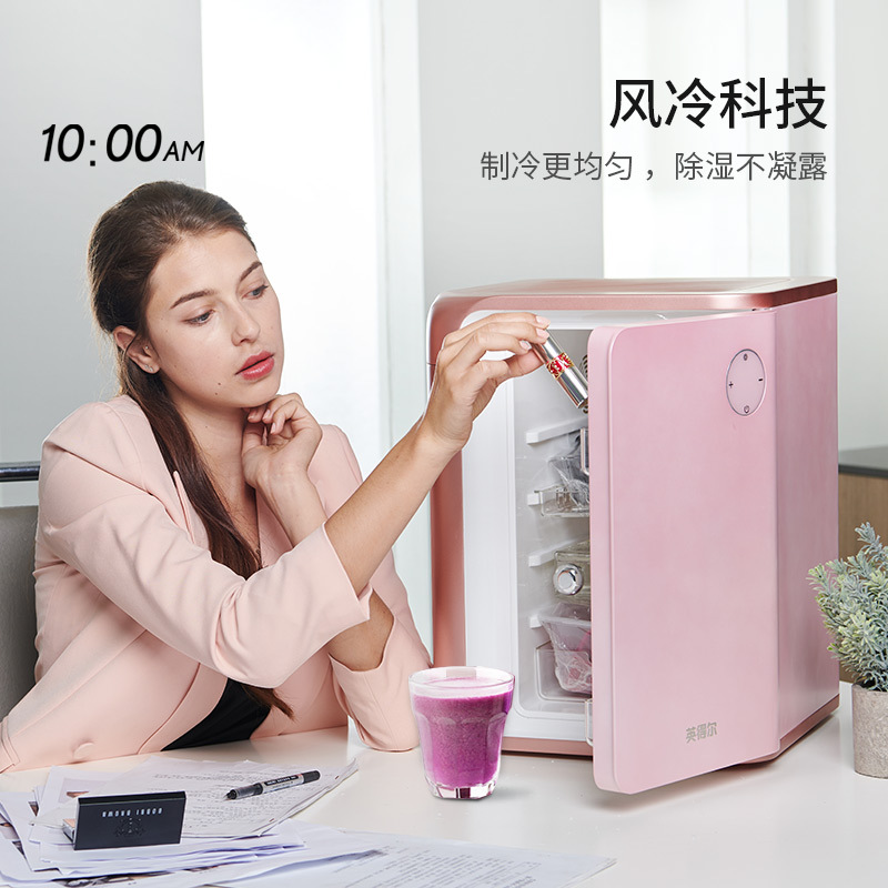 英得尔车载冷暖箱DC20冷藏保温鲜车家两用化妆品宿舍学生小型迷你冰柜