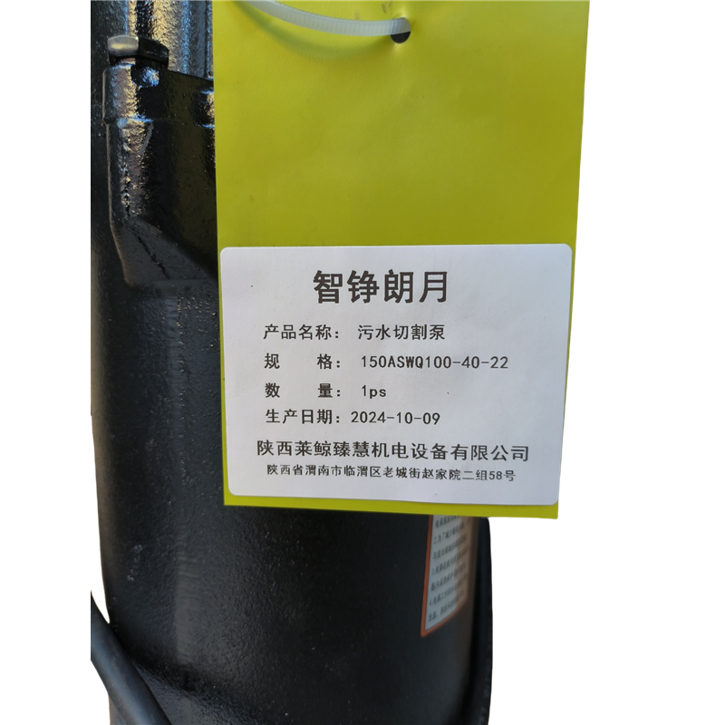智铮朗月 污水切割泵 150ASWQ100-40-22 台高清大图
