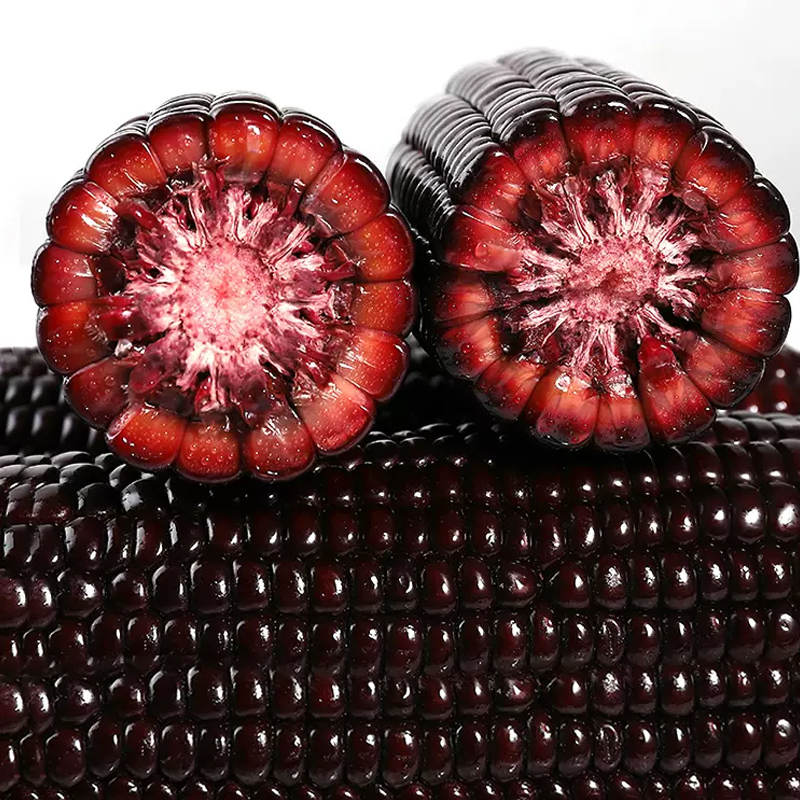 [西沛生鲜]]新鲜黑糯玉米 小棒 3根装 单根160-220g 黏玉米甜糯玉米袋装高清大图