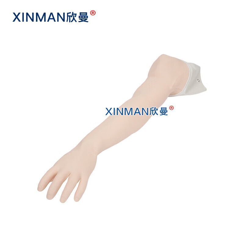 欣曼科教 完整静脉穿刺输液手臂模型 XM-S1014高清大图
