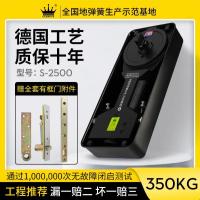 玻璃门地弹簧超重型350公斤有/无框大门S-2500直销地弹簧-定位