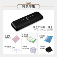 天鹅(Tian E) 音簧SW28孔宽音域口琴成人高级专业演奏级复音重音口琴