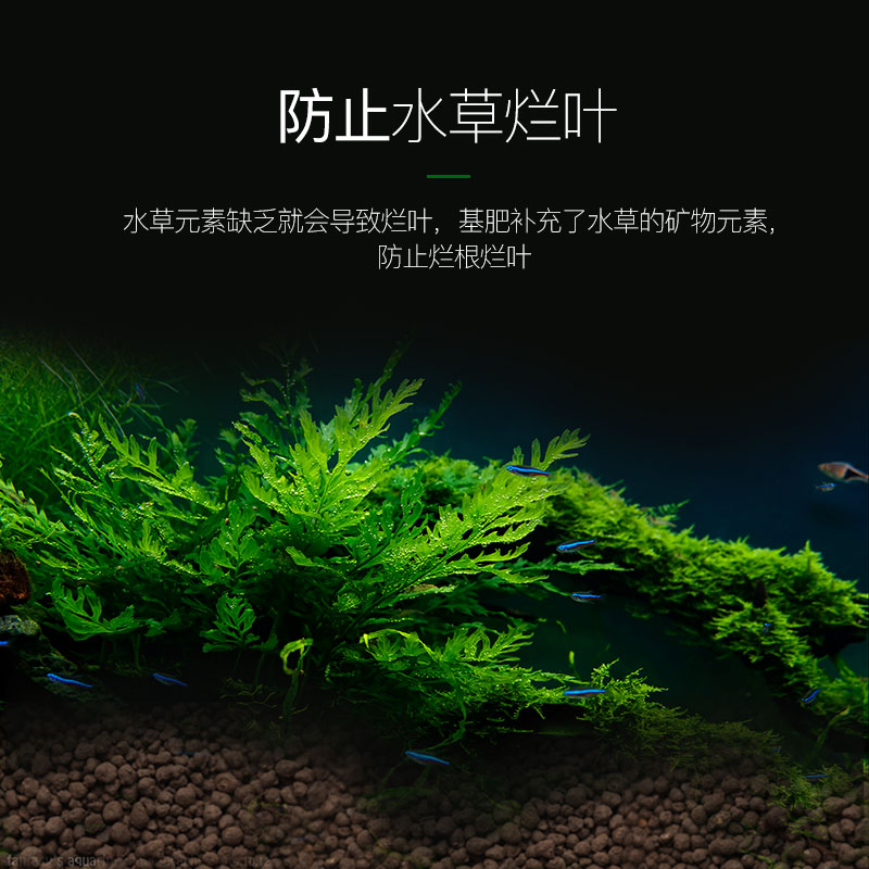 鱼缸基肥水根肥缸浓缩造景底肥铺底专用营养陶粒伴侣长效缓稀高清大图