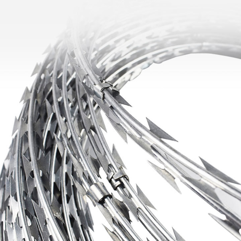 洛安斯 刺丝滚笼 圈径50CM 卷高清大图