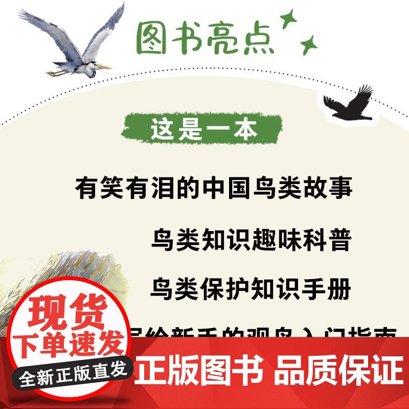 书央视网]我们身边的小鸟朋友 手绘观鸟笔记 跟随自然艺术家丫丫鱼RD探索小鸟的奥秘 200幅手绘插图带你发现身边的小鸟朋高清大图
