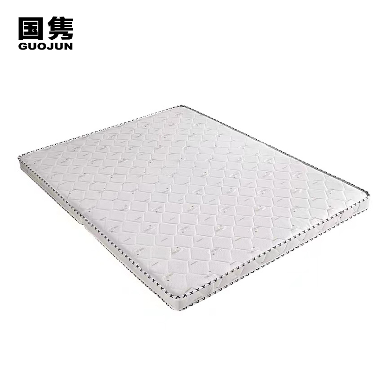 国隽 单人床垫 900*2000mm 张高清大图