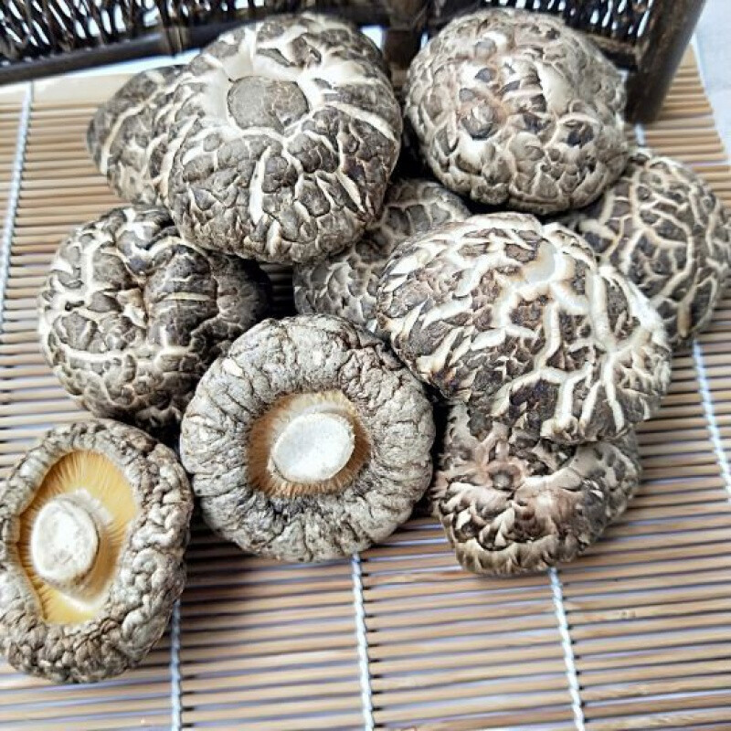 西峡香菇花菇新鲜干货250克 特产自产干花茹 干香菇 蘑菇