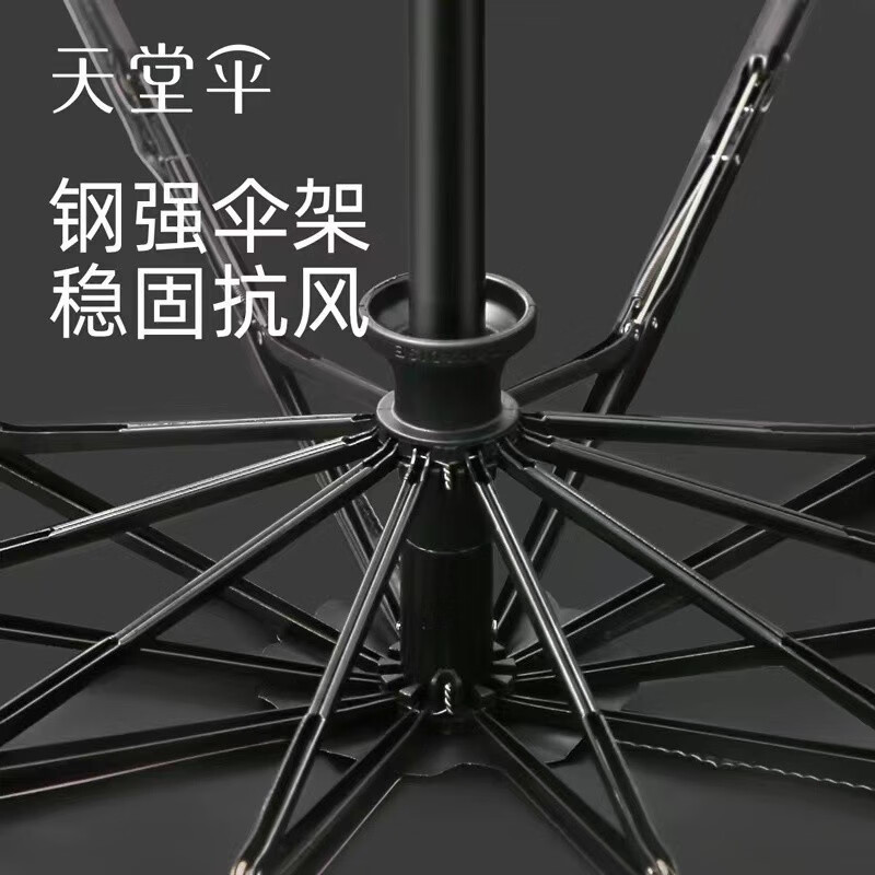 天堂伞寇玉纺黑胶晴雨伞 防紫外线遮阳伞自动一键开收10骨31171E 清新蓝高清大图