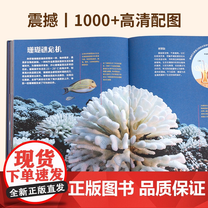 儿童生日礼物送男女孩子益智高端玩具伴手品6到9岁小学生大英百科高清大图