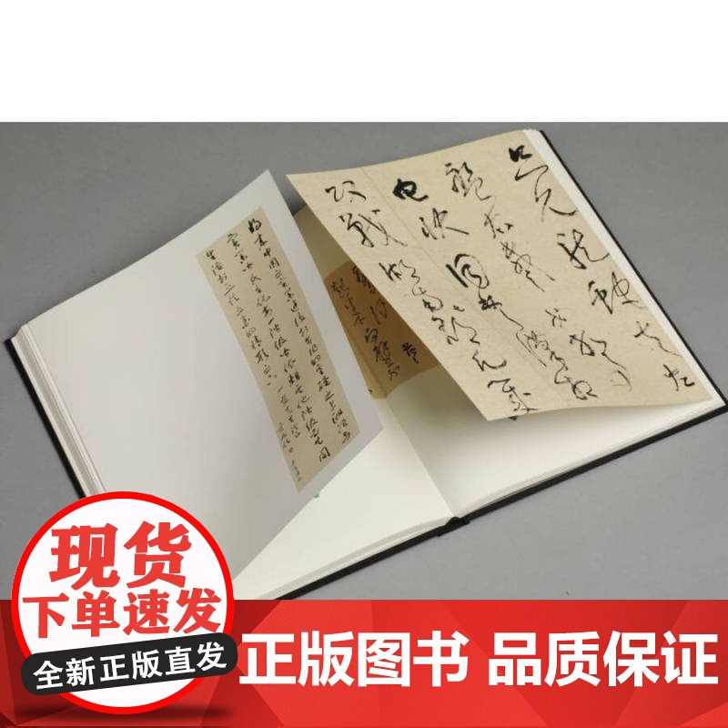 旷代双清于右任林散之书法艺术 陆衡范樵父近现代草圣历史贡献草书经历学问思想情怀品格造诣和精神学术研究价值 上海书画出版社高清大图