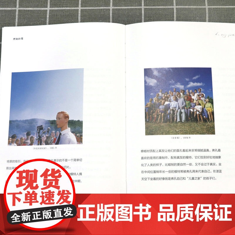 燃烧的雪:走进贝尔纳·弗孔的图像世界 赵欣昕著书籍高清大图