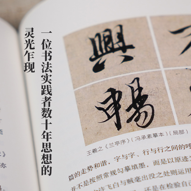 [正版]旗舰 崔寒柏书法闲谈(四海艺林) 当代著名书法家崔寒柏书法随笔文集 一位书法实践者数十年思想的灵光乍现艺术史理高清大图