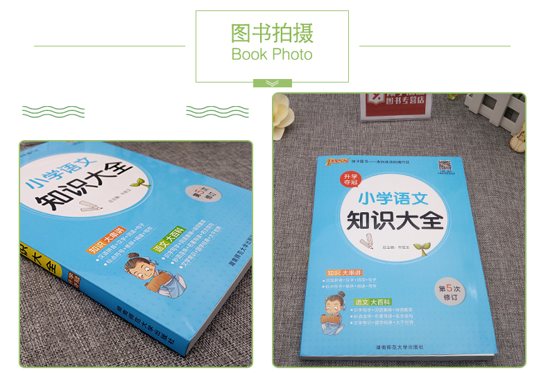 [正版]pass绿卡图书小学语文知识大全 知识大串讲 小学生升学复习资料辅导书 小学语文学习工具书高清大图