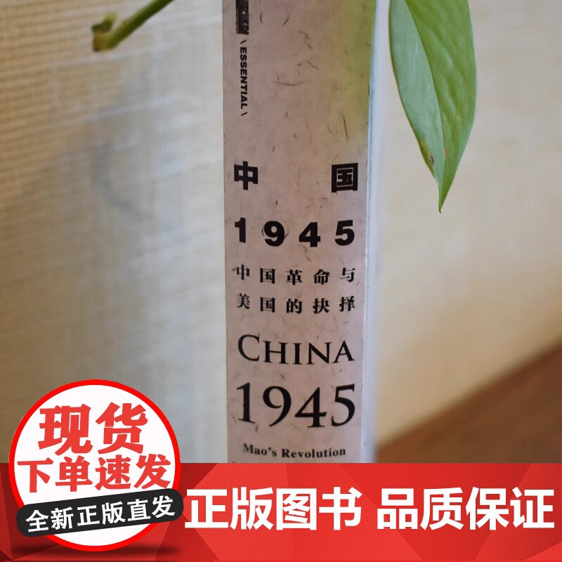 中国1945:中国革命与美国的抉择 甲骨文丛书 社会科学文献出版社 中国的抗战历史国共内战朝鲜战争二战战后书籍 978高清大图