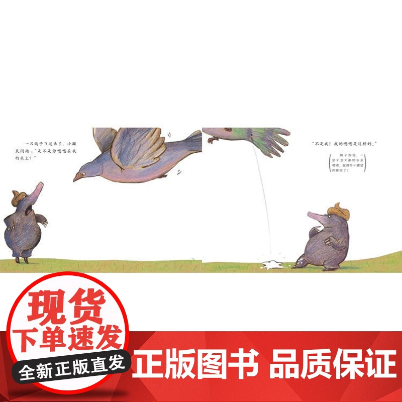 精装硬壳]是谁嗯嗯在我头上儿童绘本3到6岁幼儿园阅读绘本专用4-5岁以上适合小班中班大班宝宝睡前故事书三到四岁幼儿启蒙早高清大图