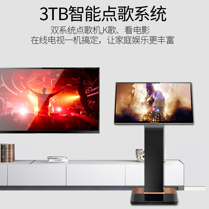 山水SP2-10家庭ktv音响套装工程单专用勿拍