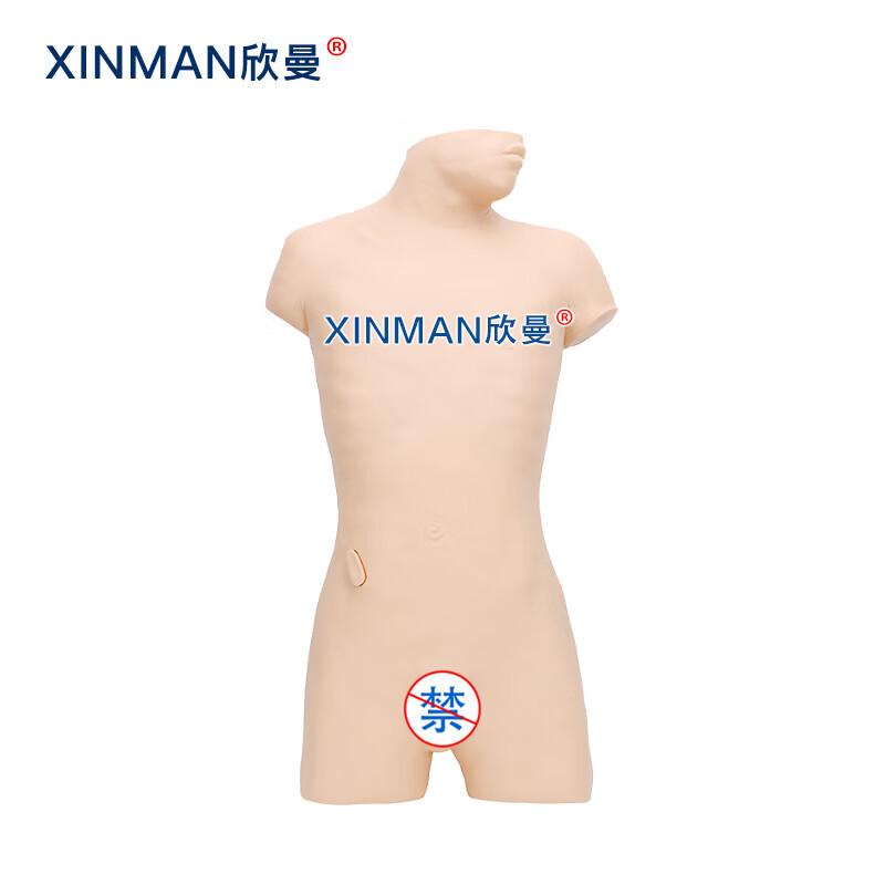 欣曼科教 腹部移动性浊叩诊与腹腔穿刺训练模型 腹腔穿刺模拟人XM-1020高清大图