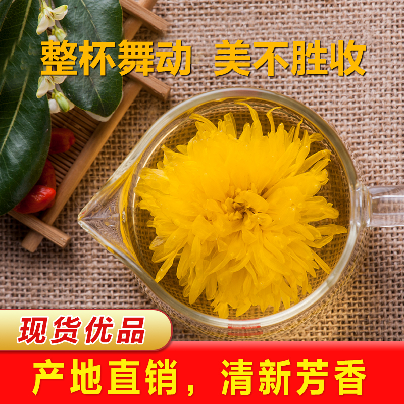 【5大朵】精选金丝皇菊单独包装一朵一杯 夏季去火必备