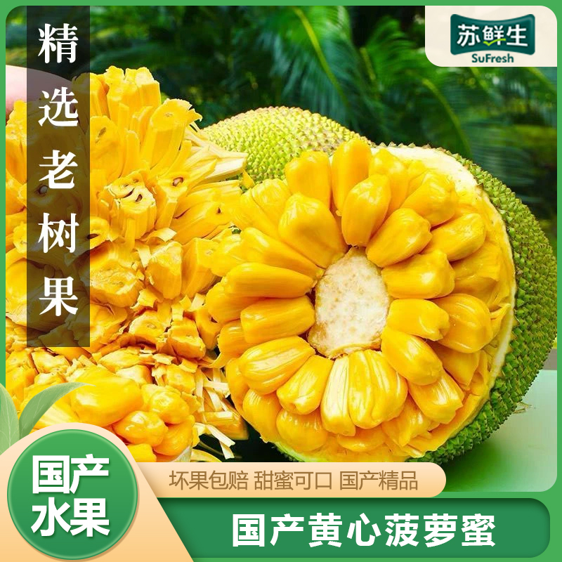 【苏鲜生】海南黄肉菠萝蜜 新鲜水果 香甜可口 1个 净重35-40斤