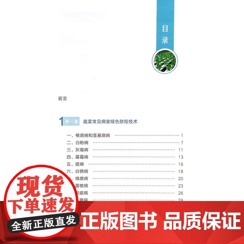 蔬菜常见病虫草害绿色防控技术图谱图片