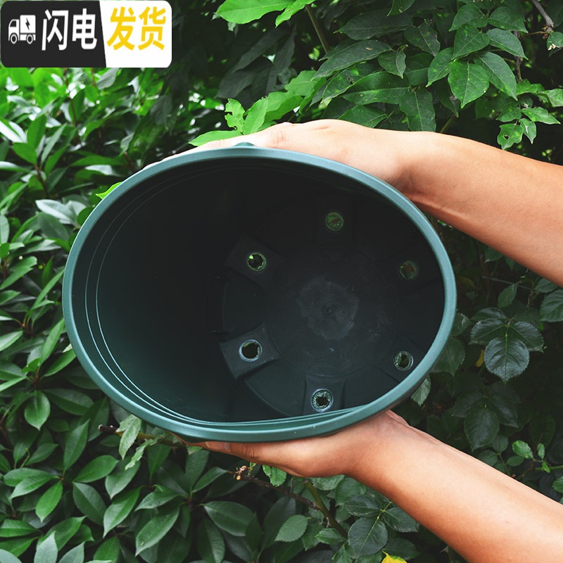 三维工匠室内矮加仑花盆阳台多肉盆家用种植塑料花盆盆栽盆器大号绿萝花盆 [5个装]22矮胖(不含托) 大花盆容器