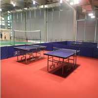 乒乓运动地胶(红色布6°厚)