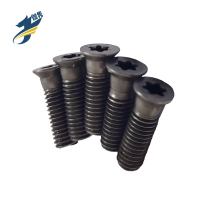 伽隽 数控刀具梅花螺丝 M5*16 YS-7 个