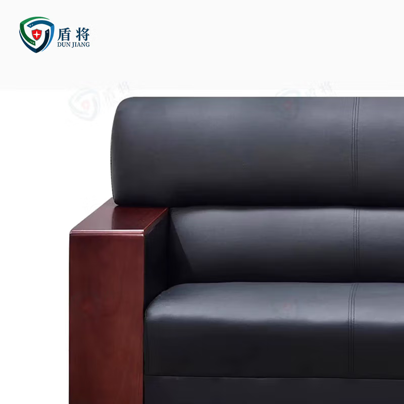 盾将 简约2人位皮质单人会客沙发1+1+茶几 茶几组合DJK-PSF高清大图