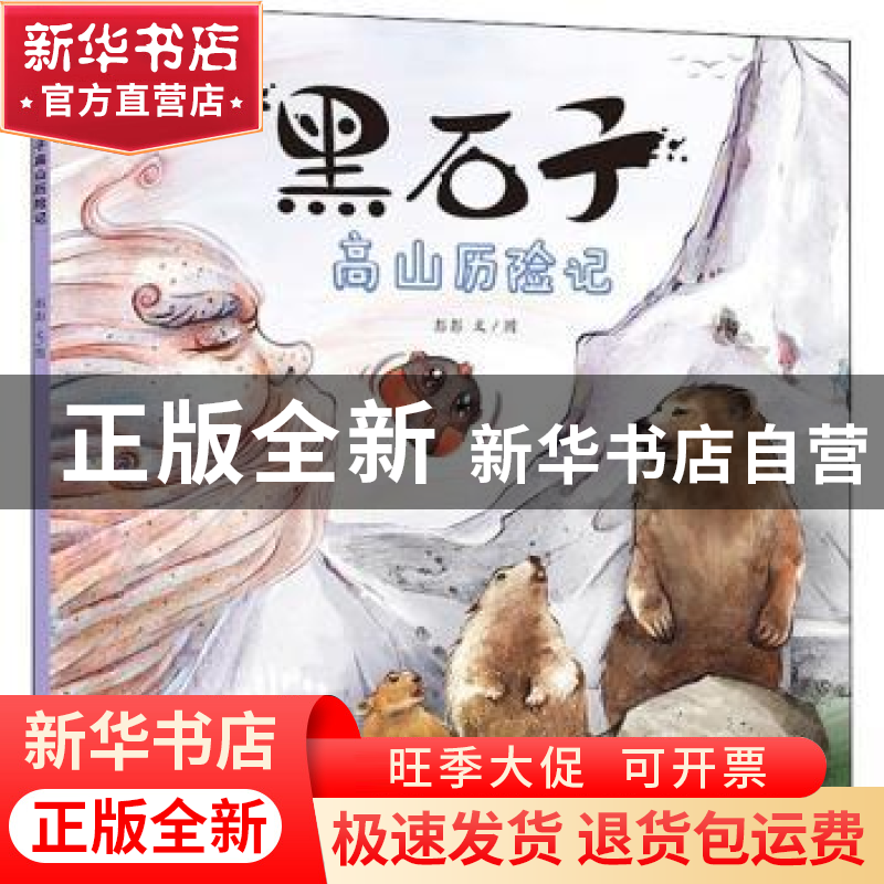正版 黑石子高山历险记 彭彭 少年儿童出版社 9787558907579 书籍