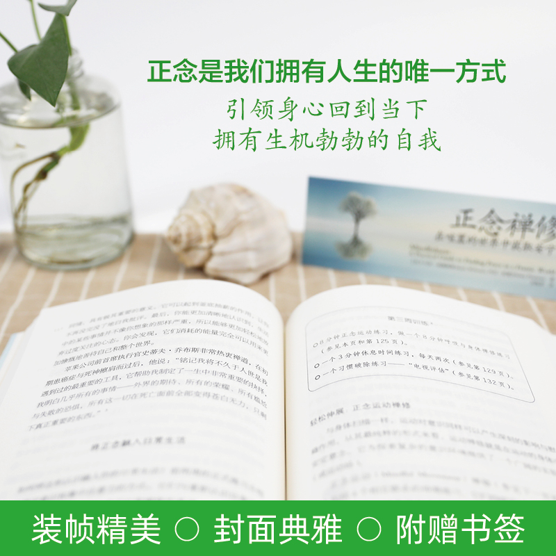 [正版]赠书签+音频正念禅修:在喧嚣的世界中获取安宁《情商》作者丹尼尔戈尔曼 胡因梦倾情推*正念减压疗法书籍身心灵读物高清大图