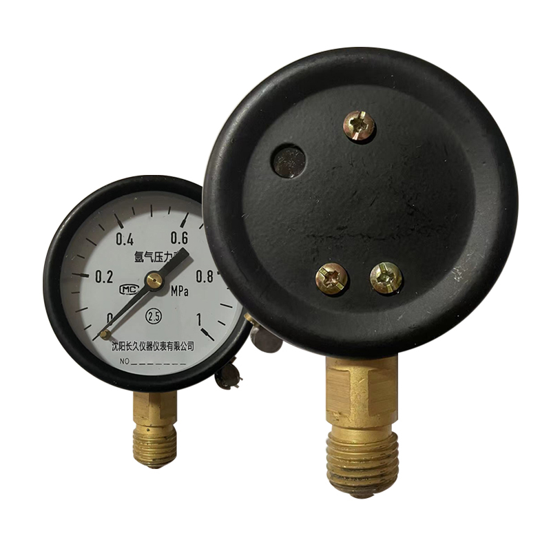 嘉禾长久氩气压力表y60个