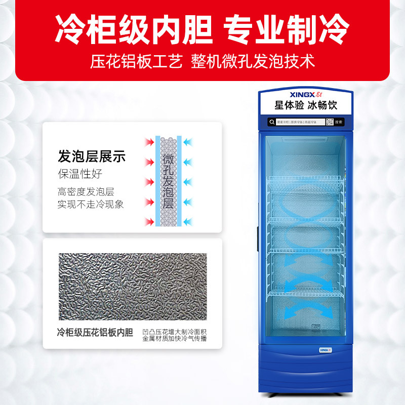 星星(XINGX) 280升展示柜 立式冰柜 保鲜柜 饮料柜 商用 双层玻璃更锁冷 饮品展示更直观 LSC-280G