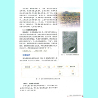 人教版高中生物选修1生物技术实践生物书 人民教育出版社 普通高中课程标准实验教科书生物选修1生物书教材课本 选修1选修一