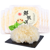 富昌鲜银耳6朵 单盒装 古田新鲜白木耳雪耳糯银耳鲜活耳 厂家产地直发 冰袋保鲜