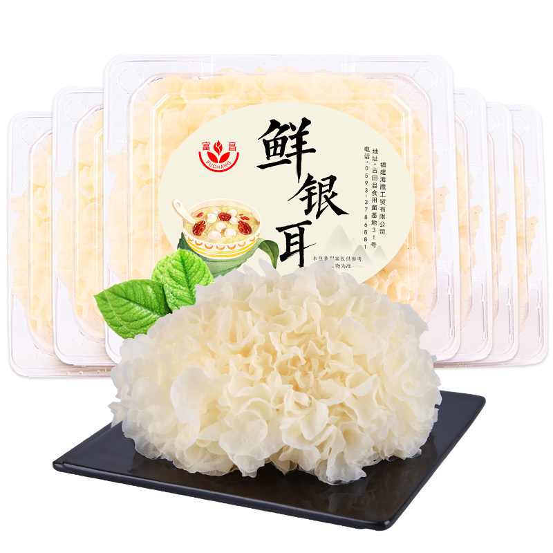 富昌鲜银耳6朵 单盒装 古田新鲜白木耳雪耳糯银耳鲜活耳 厂家产地直发 冰袋保鲜