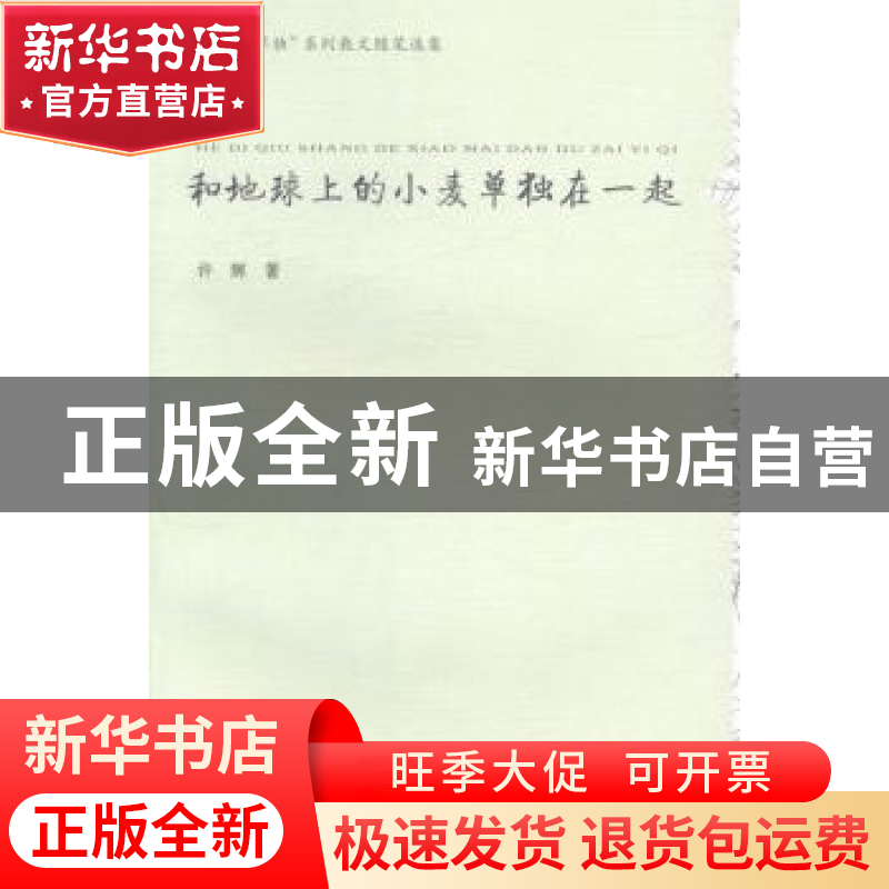 正版 许辉“单独”系列散文随笔选集(全5册) 许辉著 合肥工业大学高清大图