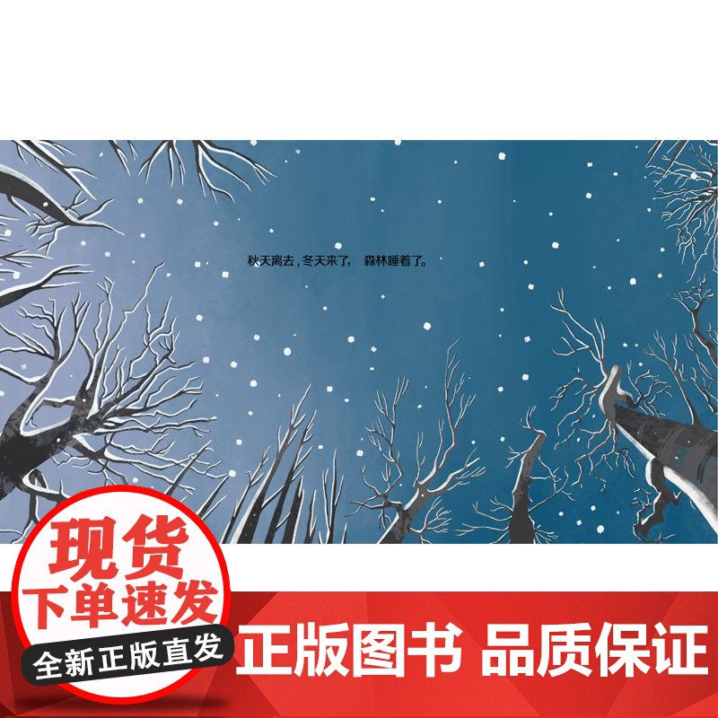 “第一次遇见科学”绘本·森林从哪里来 少年儿童出版社高清大图