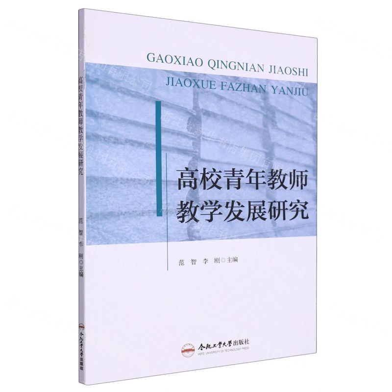 【N】高校青年教师教学发展研究-9787565063466