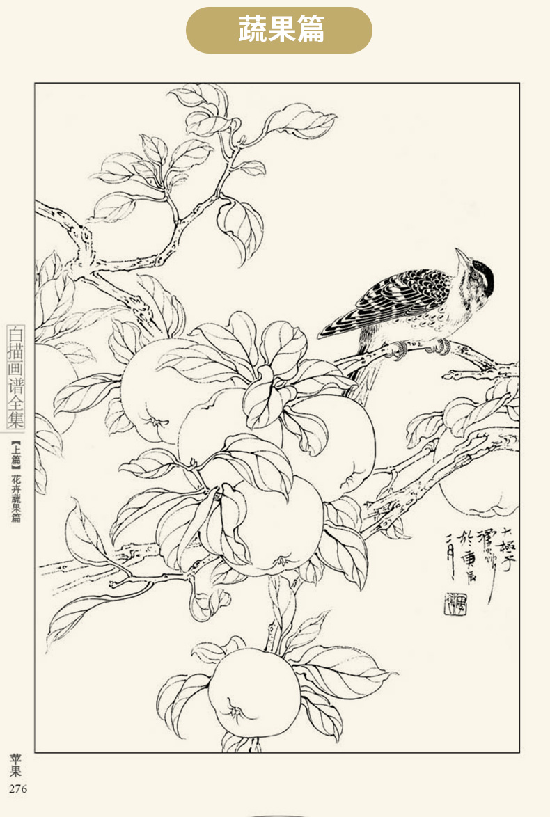 [醉染正版]2021沐尚文化白描画谱全集上篇花卉蔬果 美术名家底稿绘画中国画工笔画零基础入门教程生活兴趣书籍教学材手绘临高清大图