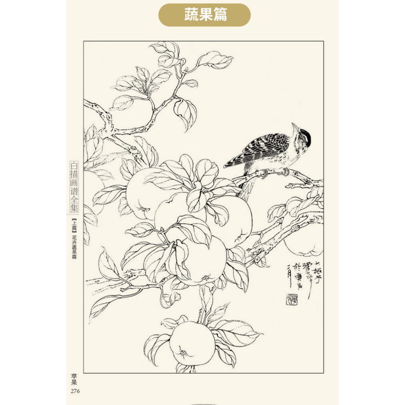 绘画中国画工笔画零基础入门教程生活兴趣书籍教学材手绘临>800_800