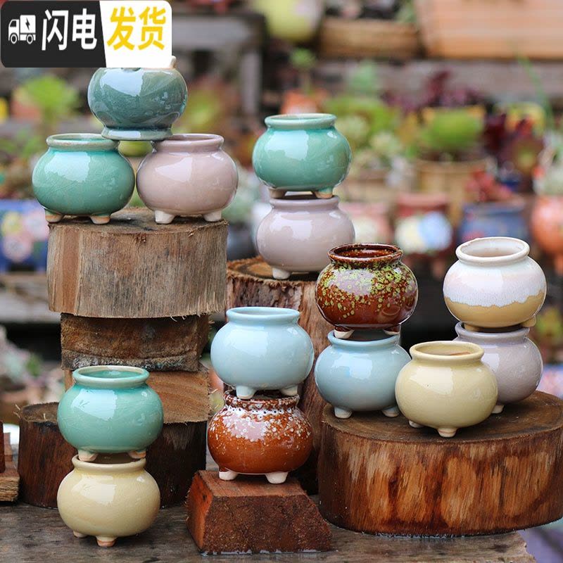 三维工匠陶瓷特小号多肉植物多色套装控型迷你多肉拇指肉肉花盆创意 H桃蛋盆随机(6个 中小花盆容器图片