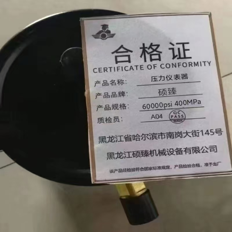 硕臻 压力仪表器 60000psi 400MPa 块高清大图